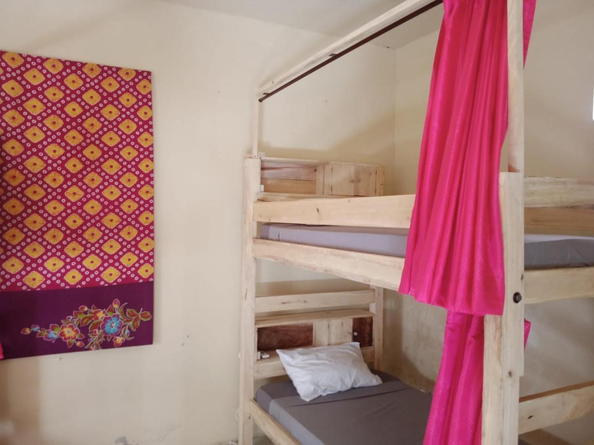 Barracuda Beach Hostel 아메드 외부 사진