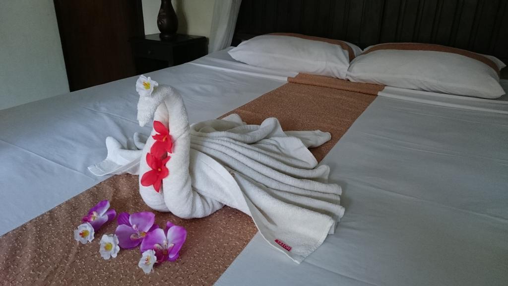 Barracuda Beach Hostel 아메드 외부 사진