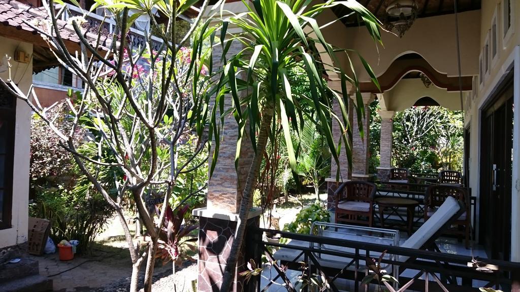 Barracuda Beach Hostel 아메드 외부 사진