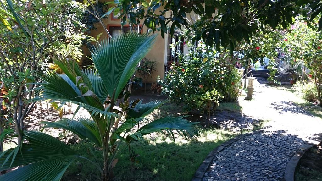 Barracuda Beach Hostel 아메드 외부 사진
